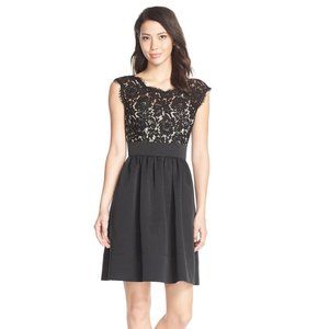 NWT Eliza J Lace & Faille Black Party Dress